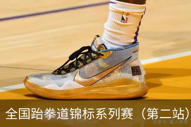全国跆拳道锦标系列赛（第二站）次日 鲁陕粤桂各揽一金