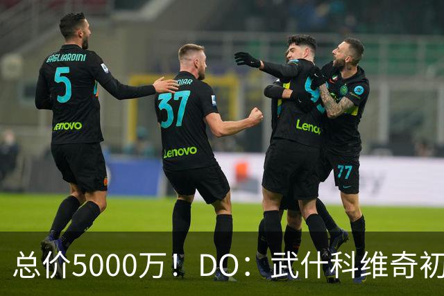 总价5000万！DO：武什科维奇初始转会费4600万镑，热刺有二转分成