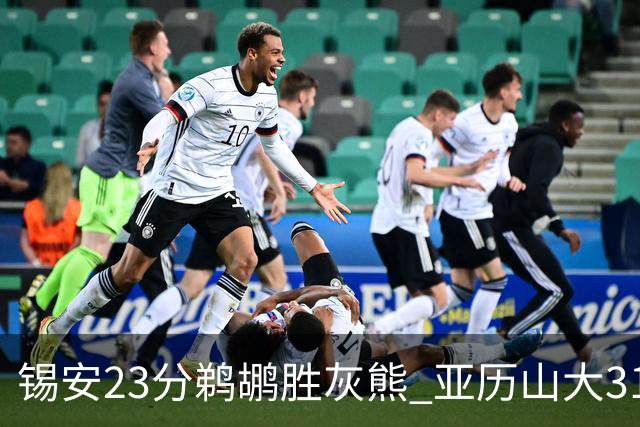 锡安23分鹈鹕胜灰熊 亚历山大31+10雷霆屠公牛